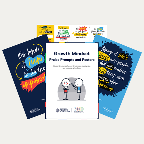 Growth Mindset Praise Prompts and Posters (digital download)